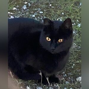 💕 closet closure💕TRADE💕